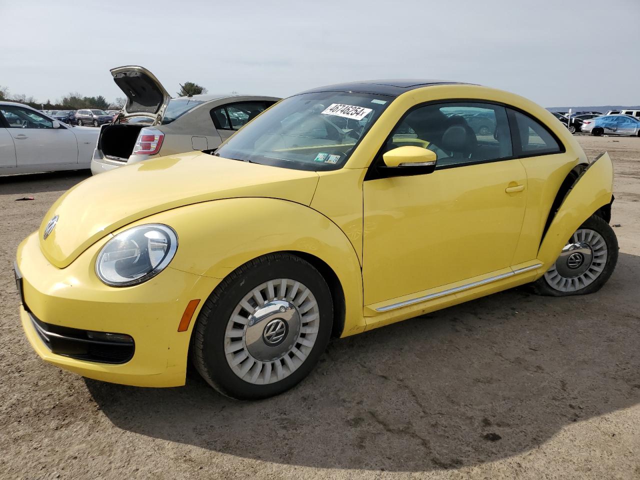 Volkswagen Beetle (2014)