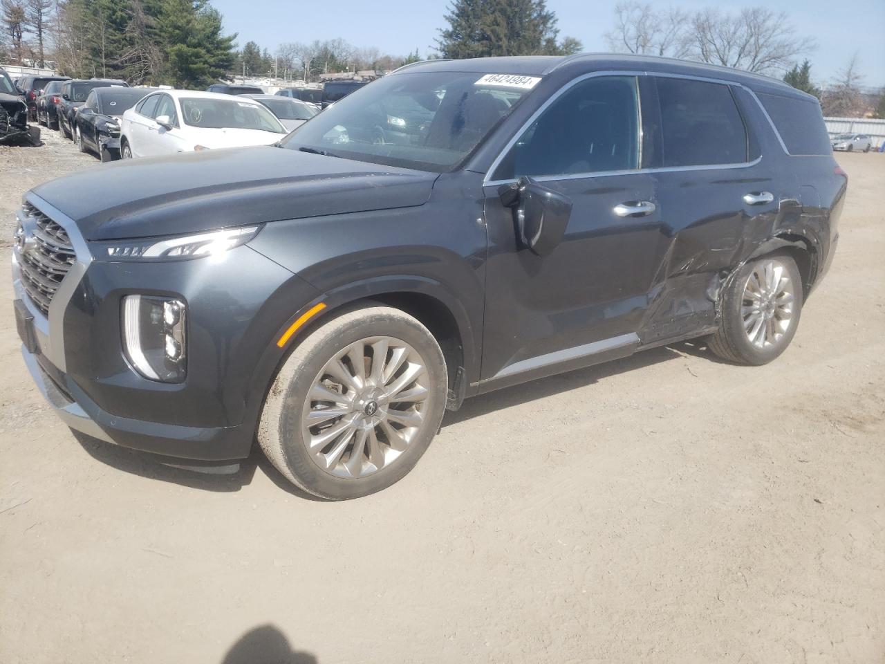 Hyundai Palisade (2020)