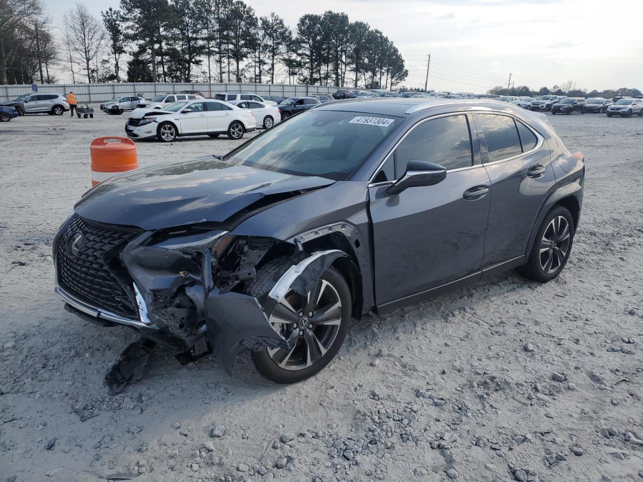 Lexus Nx-300h (2024)