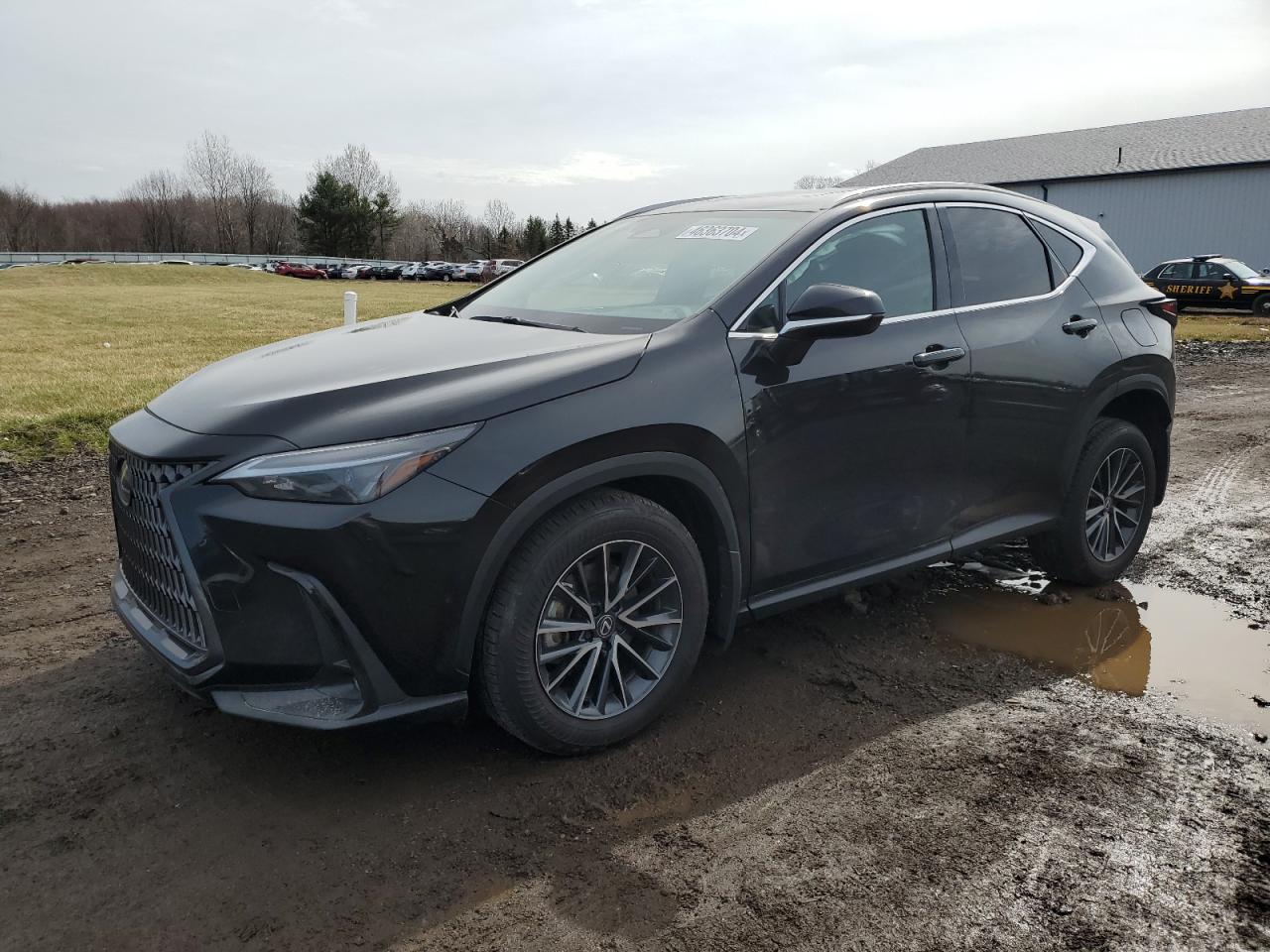 Lexus Nx-300h (2024)