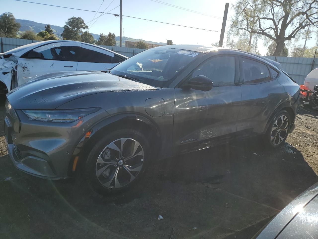 Ford Mustang ma (2023)