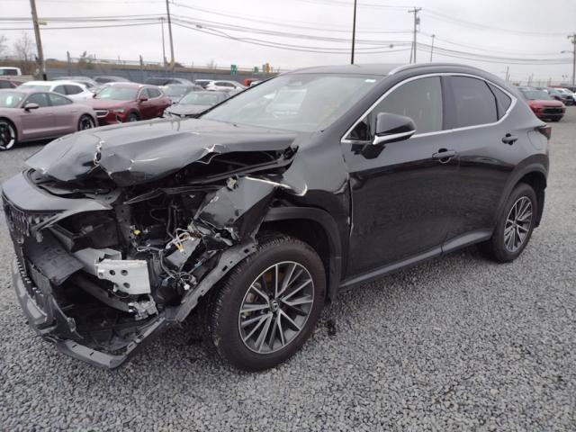 Lexus Nx 250 (2022)