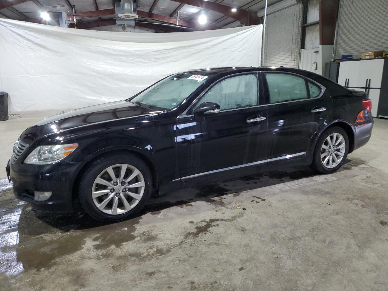 Lexus Ls (2011)