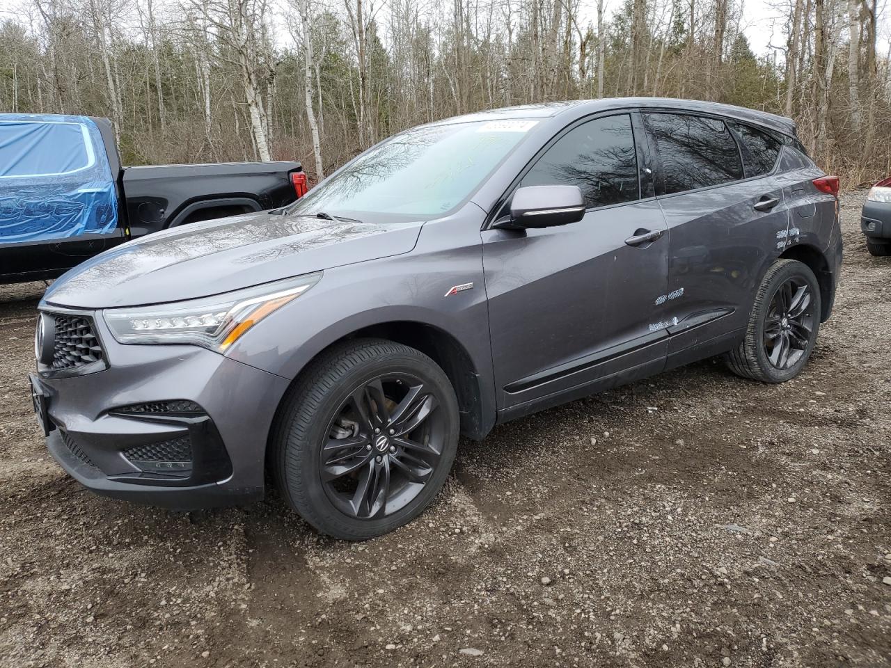 Acura Rdx (2020)