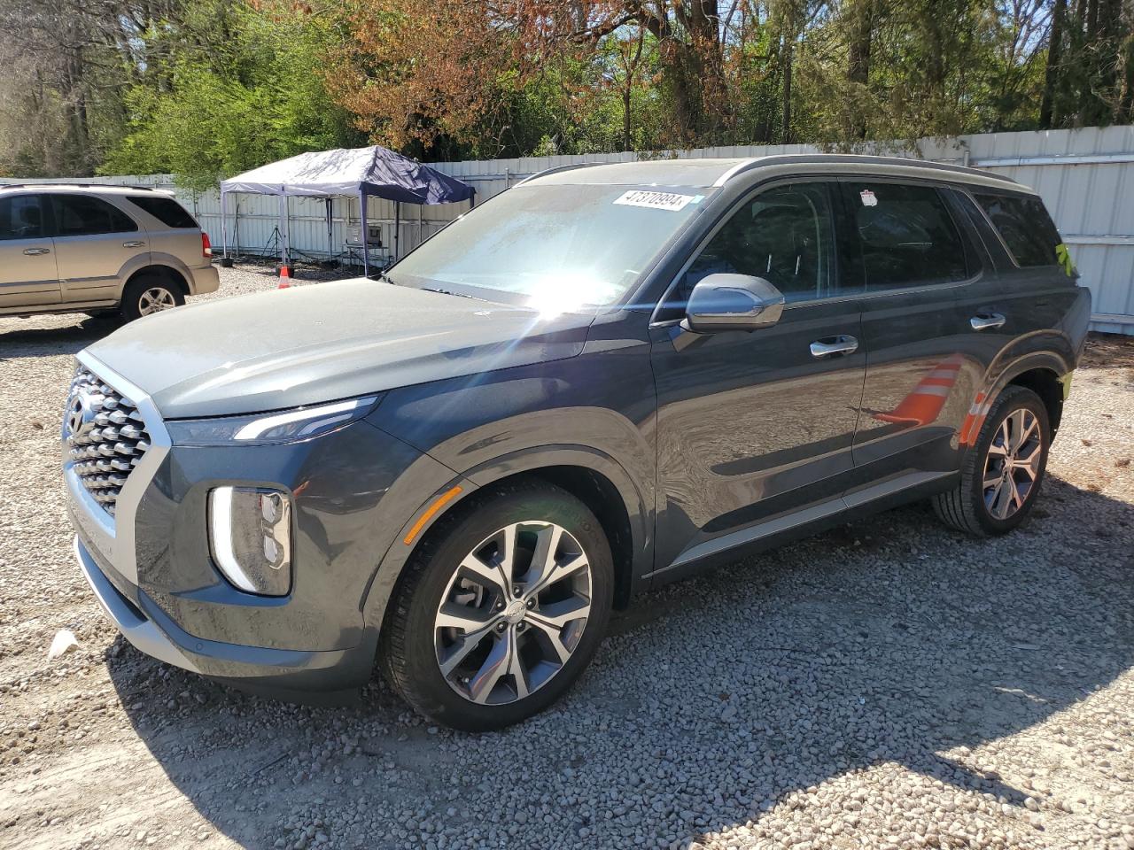 Hyundai Palisade (2022)