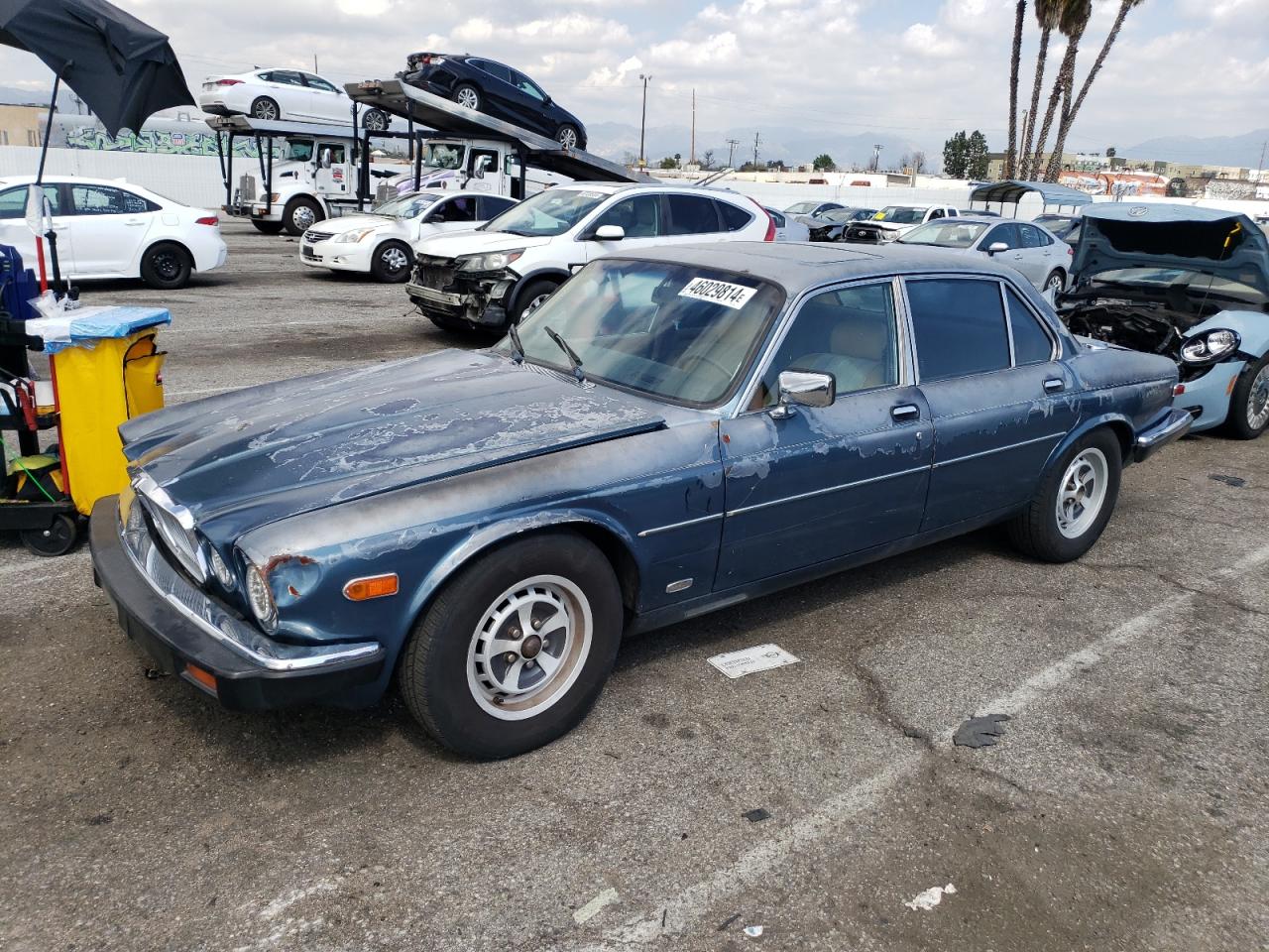 Jaguar Xj (1986)