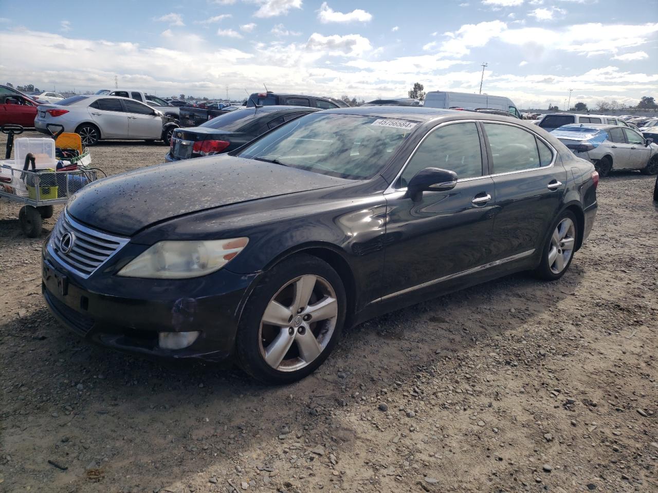 Lexus Ls (2011)