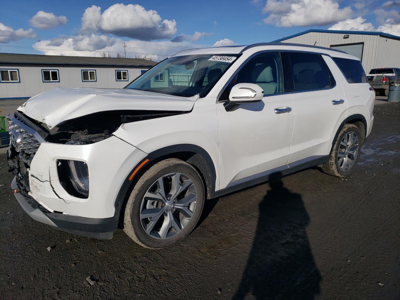 Hyundai Palisade (2022)