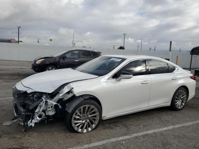 Lexus Es300 (2019)