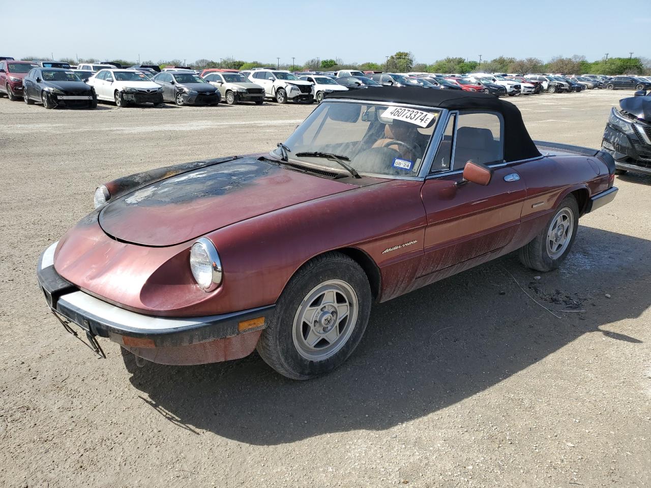 Alfa-romeo Spider (1990)