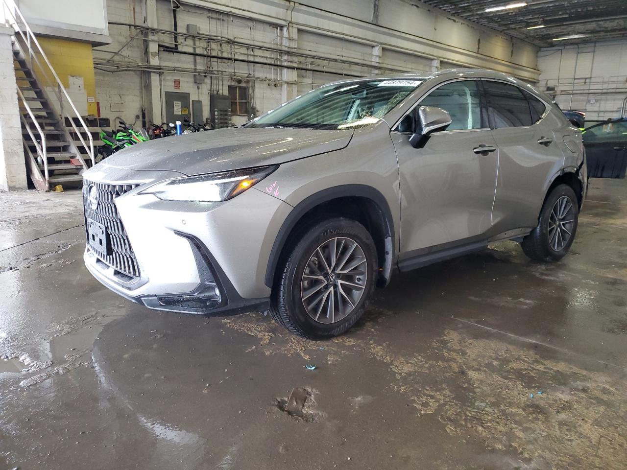 Lexus Nx-300h (2024)