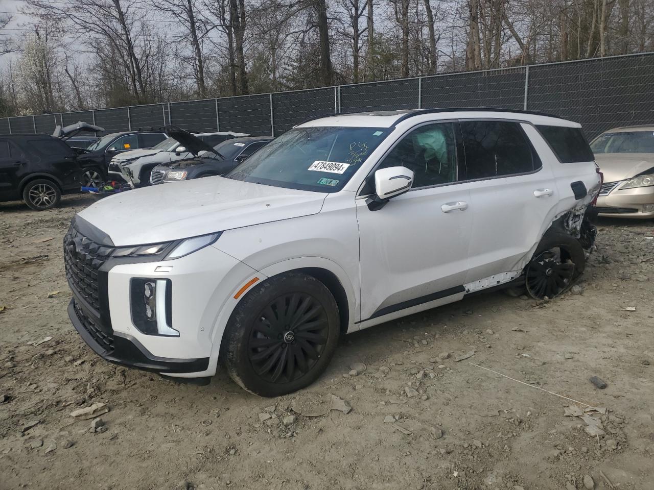 Hyundai Palisade (2024)