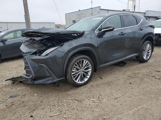 Lexus Nx 350 (2022)