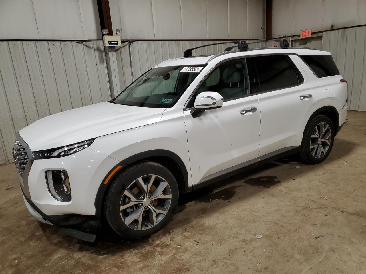 Hyundai Palisade (2020)