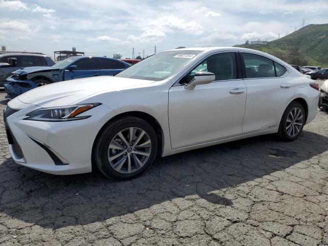 Lexus Es300 (2021)