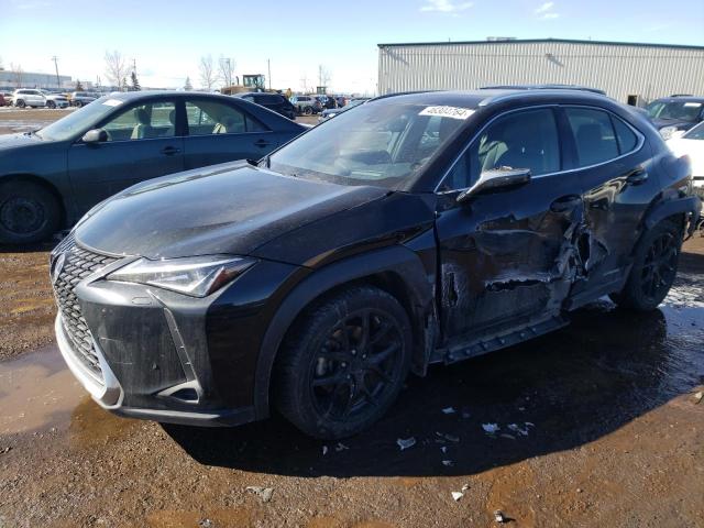 Lexus Ux 250h (2020)