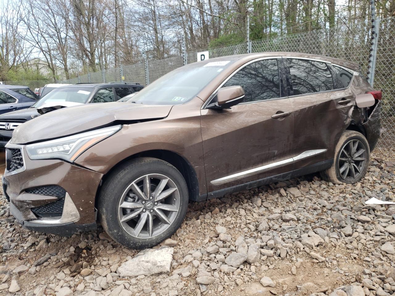 Acura Rdx (2019)