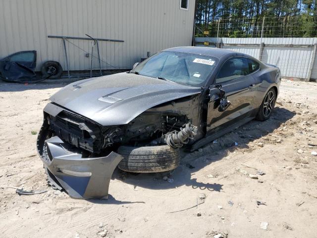 Ford All models (2019)