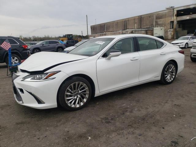Lexus Es300 (2019)