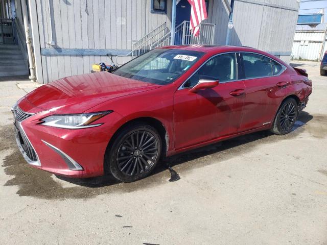 Lexus Es300 (2022)