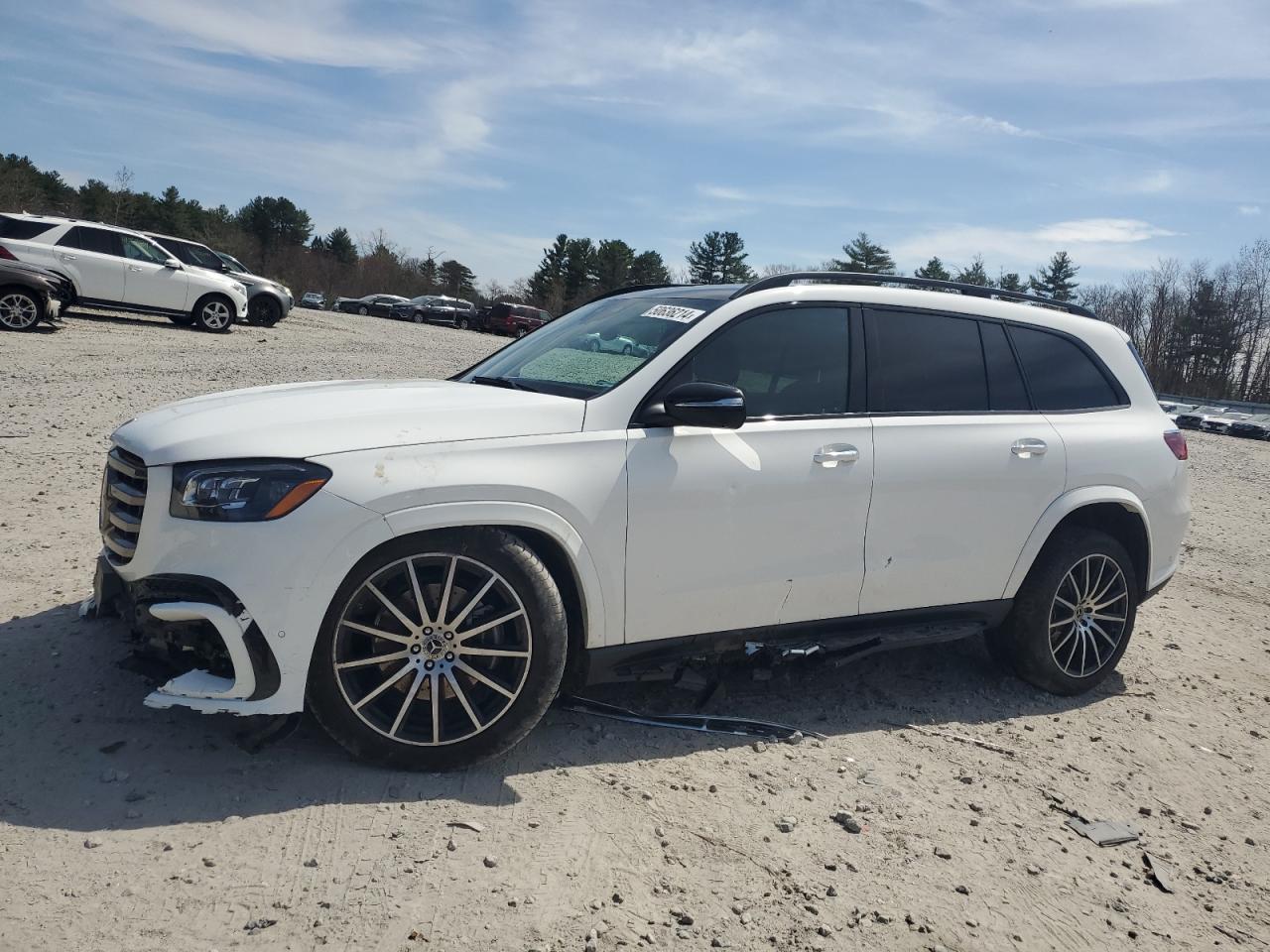 Mercedes-benz Gls-klasse (2024)
