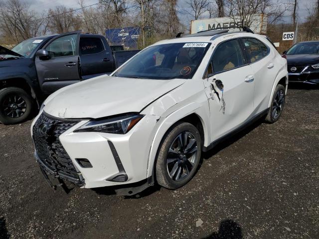 Lexus Ux 250h pr (2023)