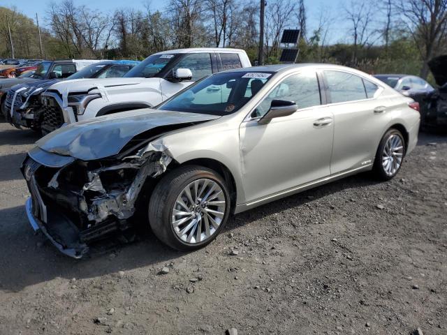 Lexus Es300 (2021)