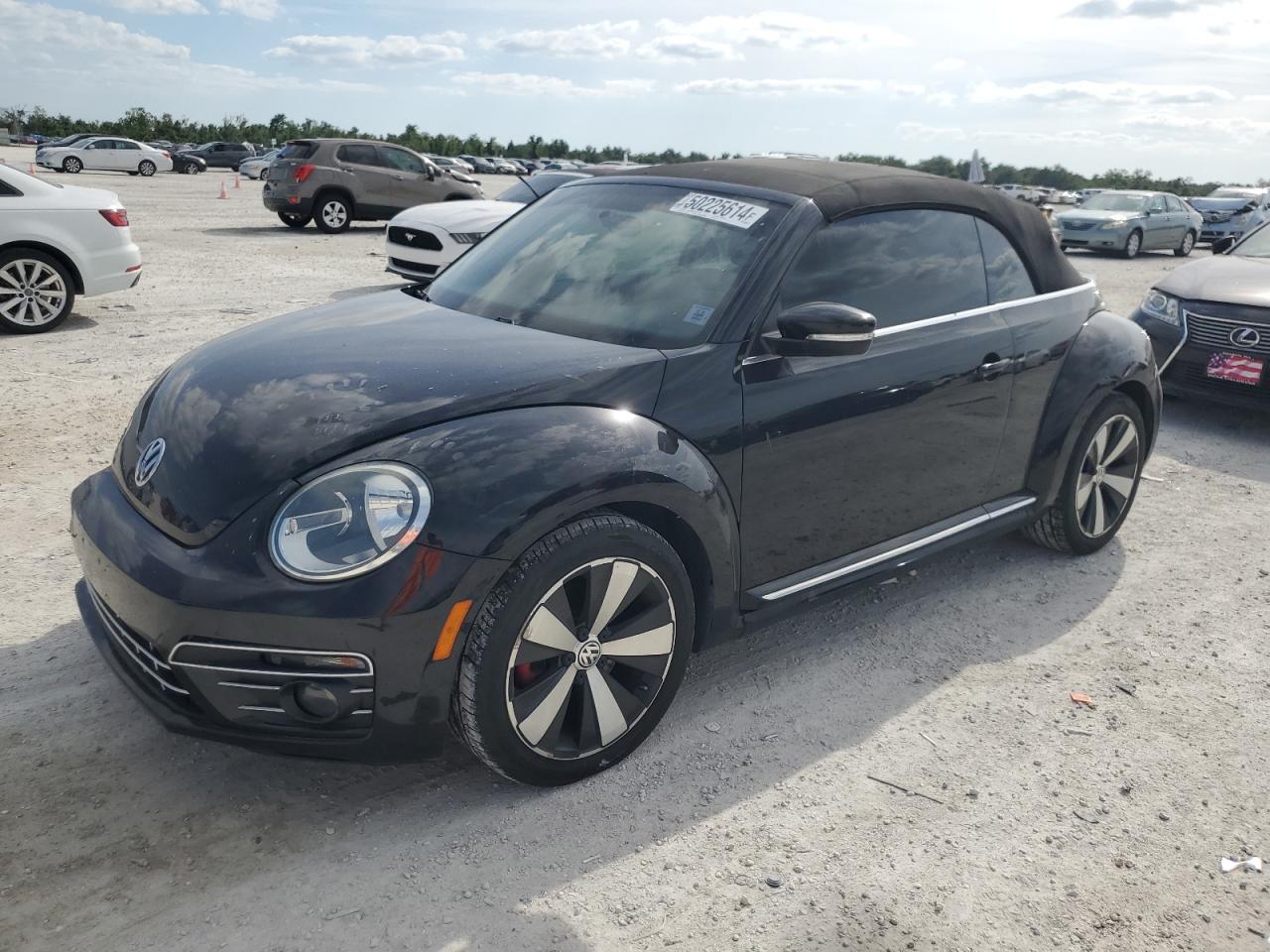 Volkswagen Beetle (2013)