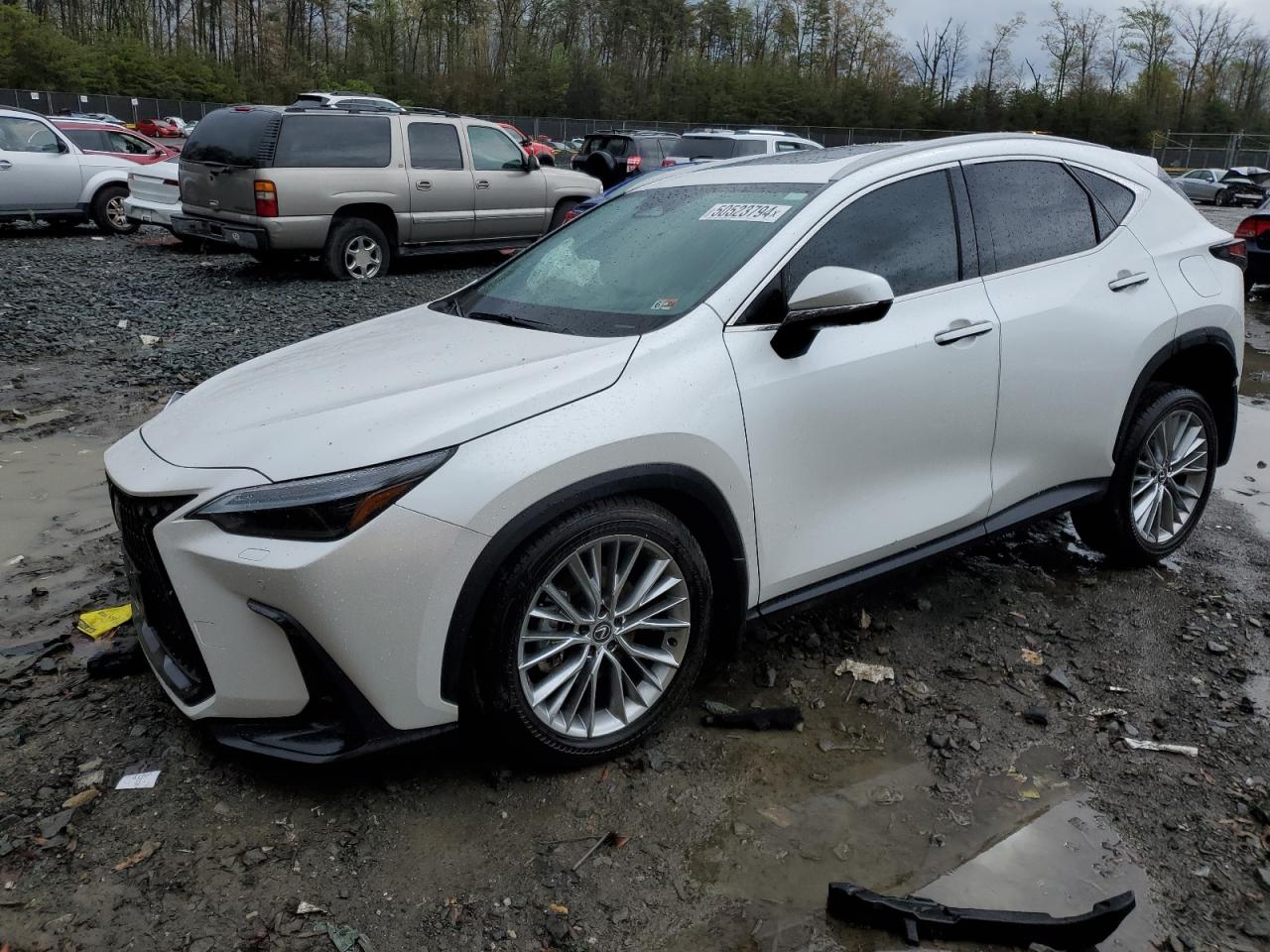 Lexus Nx-300h (2024)