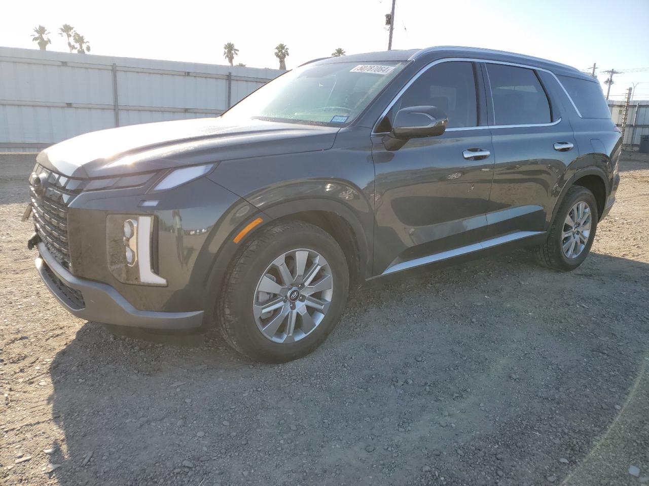 Hyundai Palisade (2023)