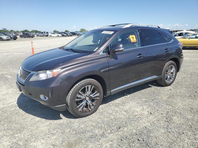 Lexus Rx450 (2010)