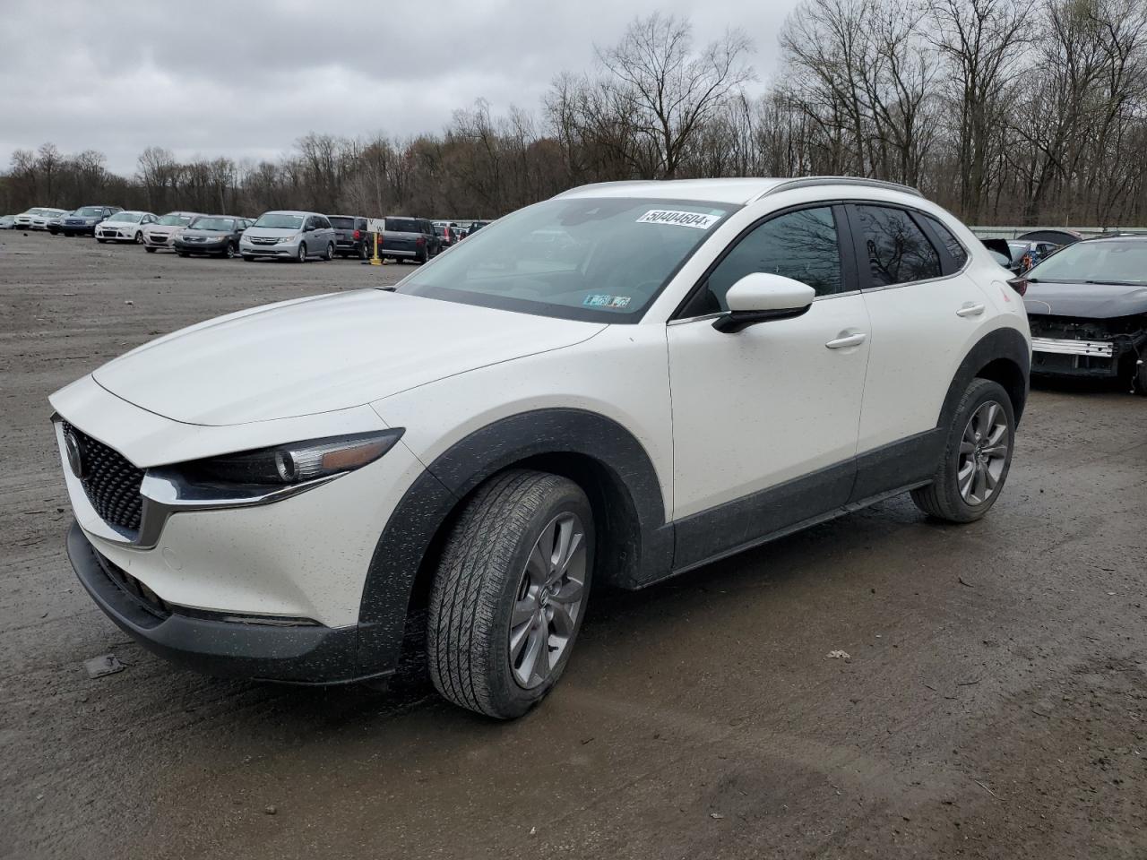 Mazda Cx-30 (2022)