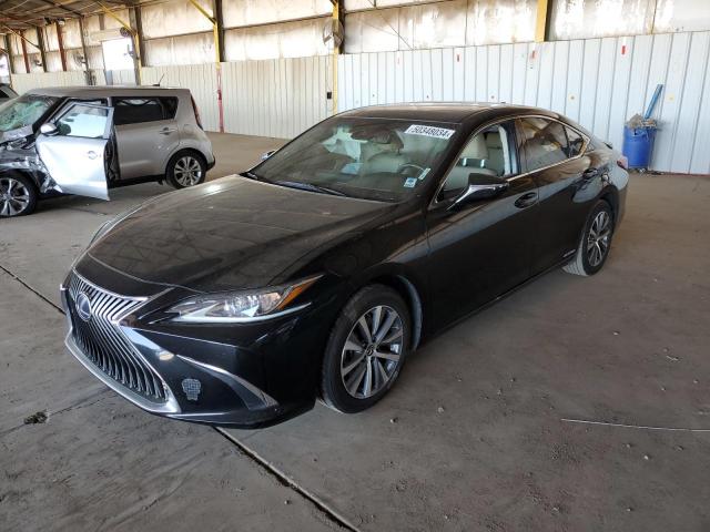 Lexus Es300 (2020)