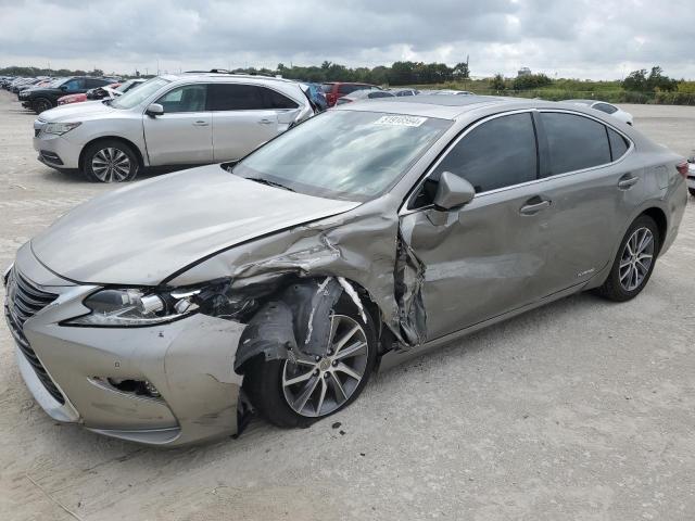 Lexus Es300 (2017)