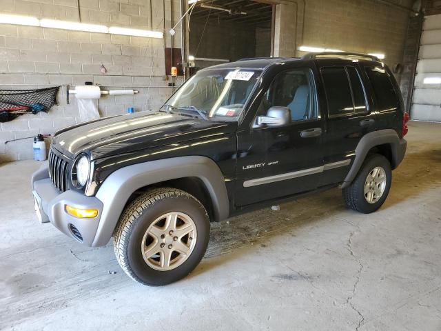 Jeep Liberty (2002)