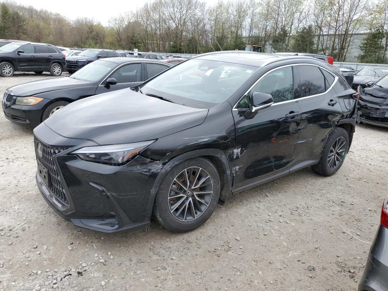 Lexus Nx-300h (2024)