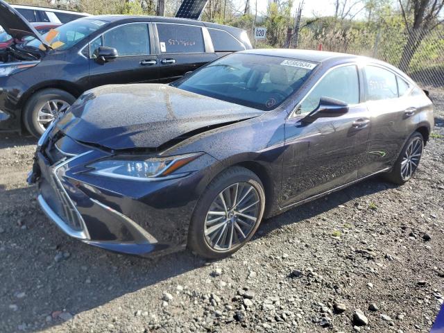 Lexus Es350 (2024)