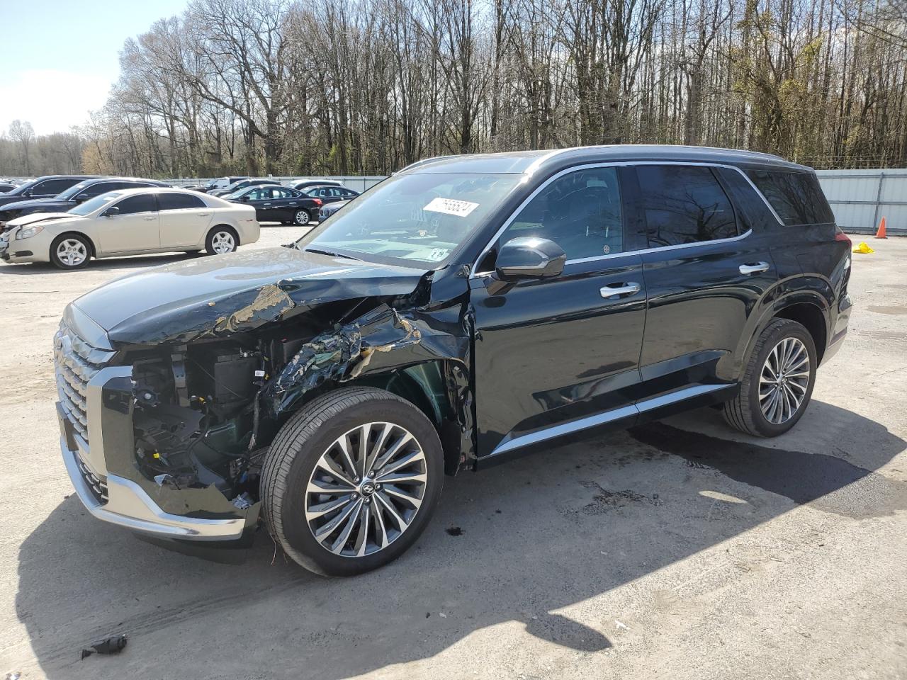 Hyundai Palisade (2024)