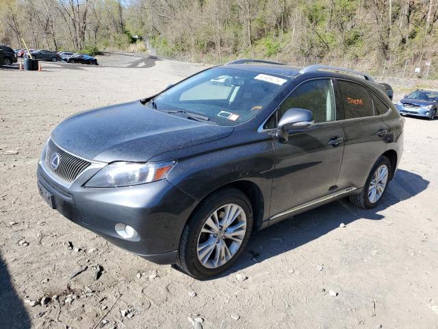 Lexus Rx450 (2010)