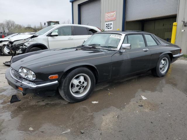 Jaguar Xjs (1983)