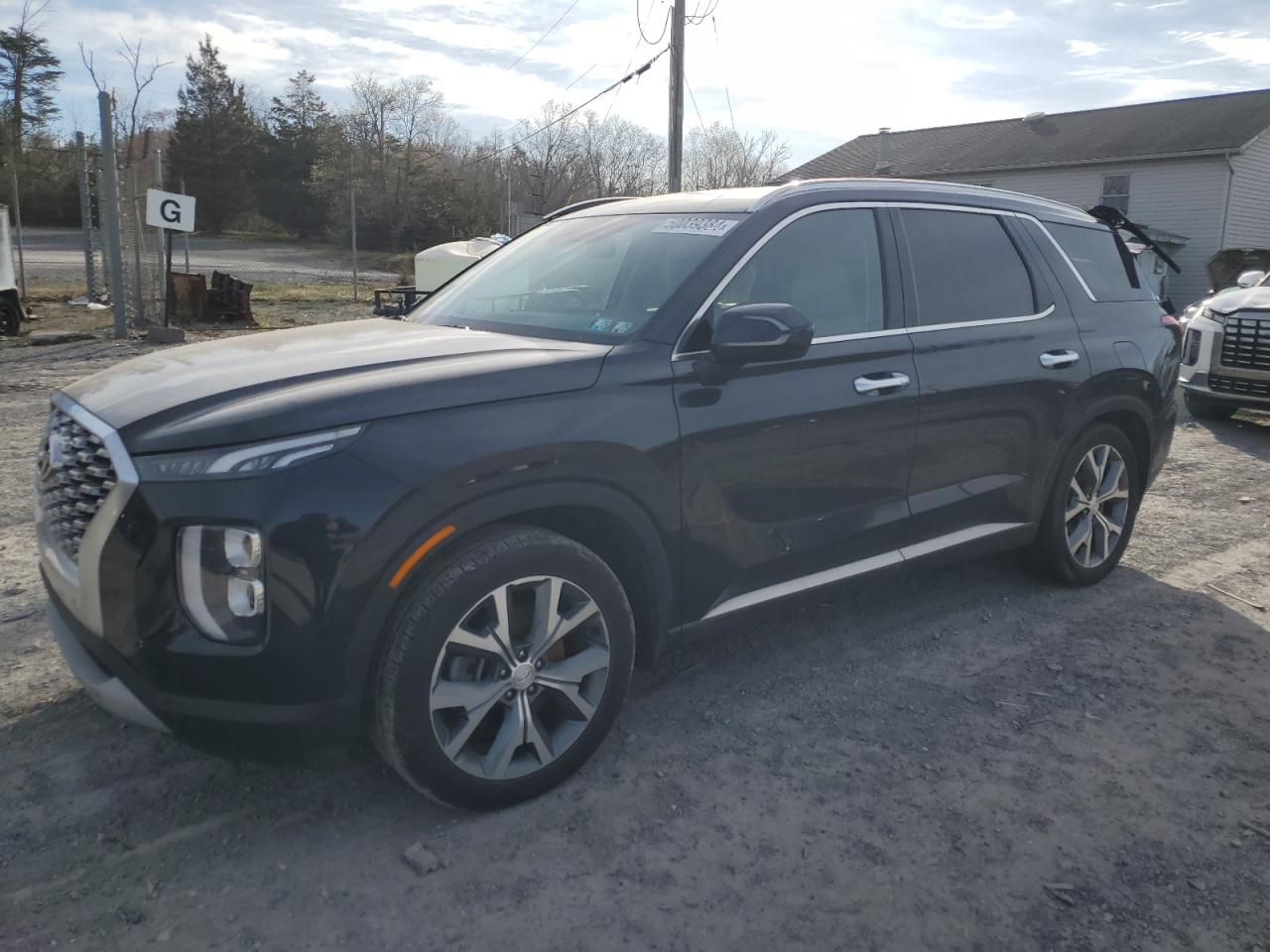 Hyundai Palisade (2020)