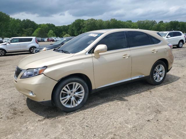 Lexus Rx450 (2010)