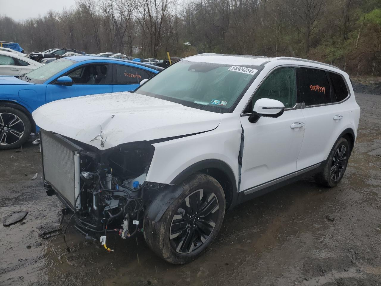 Kia Telluride (2024)