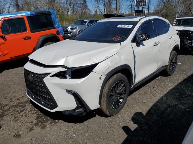 Lexus Nx 350 bas (2024)