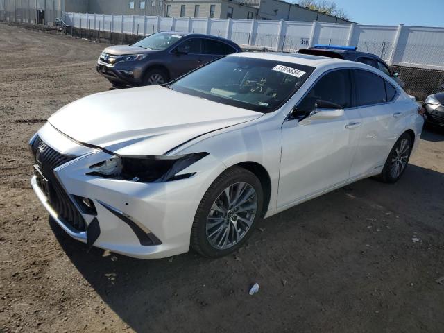 Lexus Es300 (2019)