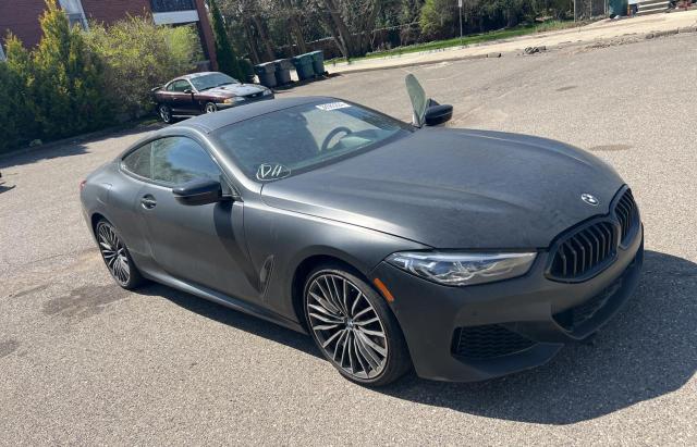Bmw 8 series (2020)