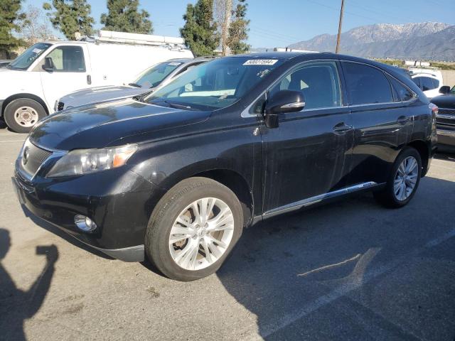 Lexus Rx450 (2011)