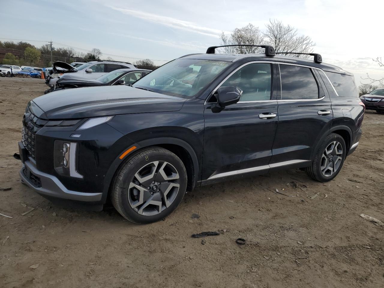 Hyundai Palisade (2023)