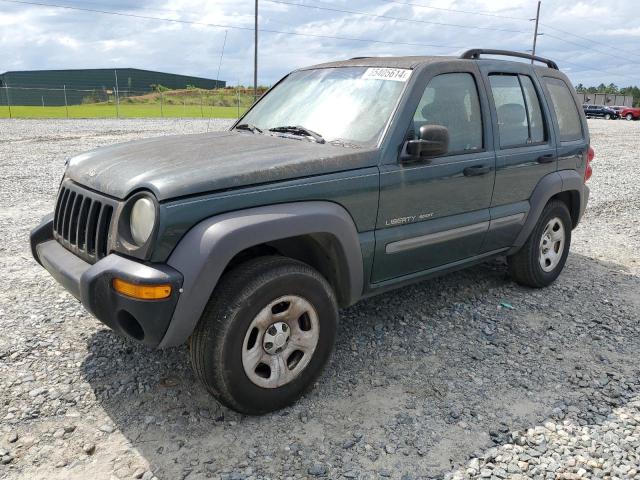 Jeep Liberty (2003)