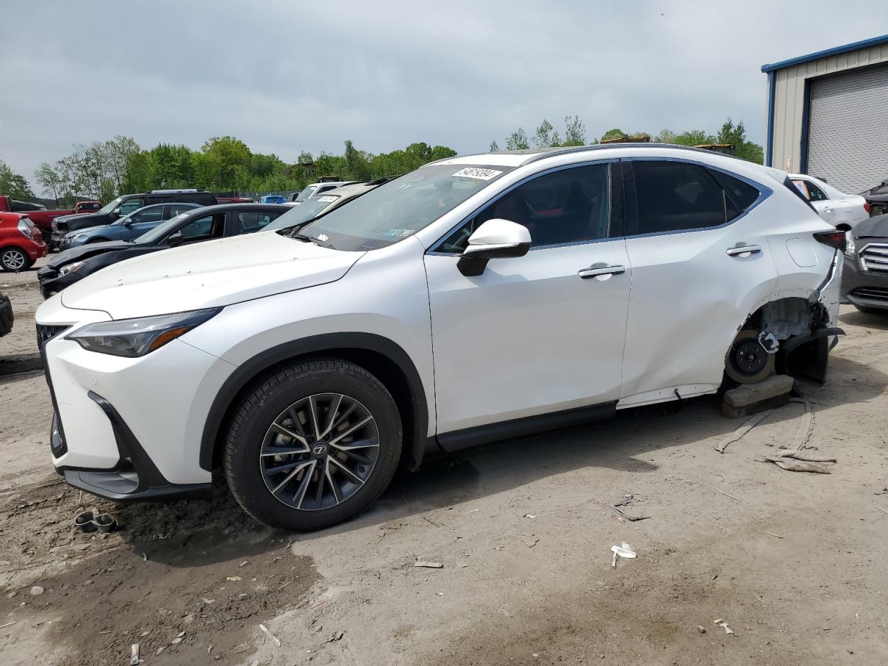 Lexus Nx-300h (2024)